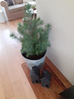 Zwarte waxinelicht huisje  2 stuks steen, Ophalen of Verzenden, Nieuw