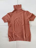 Koltruitje roestbruin maat L, Bruin, Maat 42/44 (L), Ophalen of Verzenden, Zo goed als nieuw