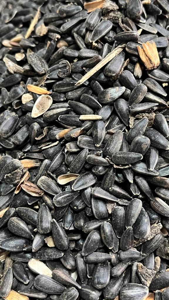 Zwarte zonnebloempitten, Dieren en Toebehoren, Dierenvoeding, Vogel, Ophalen of Verzenden