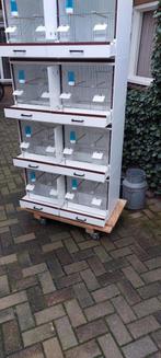 4 x 2 zgan bakker kunstof broedkooien, Ophalen, Zo goed als nieuw, Kunststof, Broedkooi of Kweekkooi