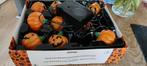 Halloween versiering, Ophalen of Verzenden, Versiering, Halloween of Griezel