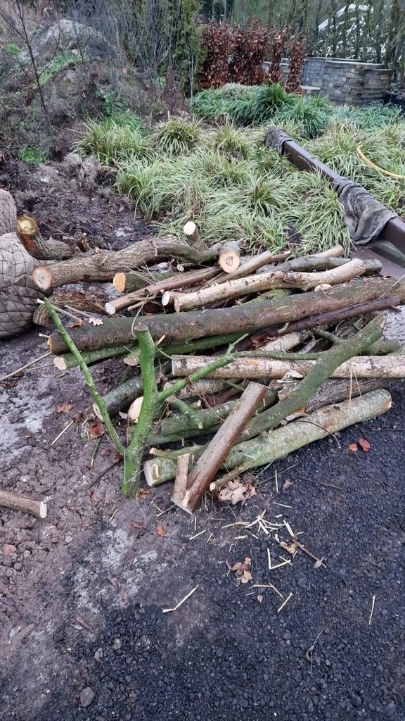 Brandhout Mix, Minder dan 3 m³, Ophalen of Verzenden, Overige houtsoorten, Takken