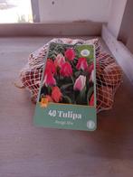 Actie Tulpen mix, Ophalen of Verzenden, Volle zon