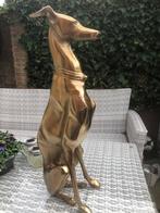 groot honden beeld windhond hazewindhond gold whippet, Ophalen of Verzenden