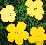 Andy Warhol Kleur Lithografie " Poppy Flowers Afb 9" Ges Gen, Ophalen of Verzenden