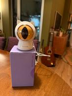 Pettadore play red dot, Ophalen of Verzenden, Nieuw, Overig speelgoed