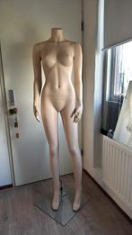 Paspop, Kleding | Dames, Kledingrekken, Ophalen of Verzenden, Zo goed als nieuw