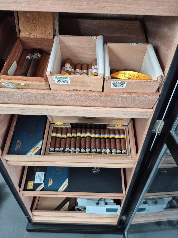 Professionele electrische bevochtiger sigaren kabinet, Verzamelen, Rookartikelen, Aanstekers en Luciferdoosjes, Nieuw, Tabaksdoos of Verpakking