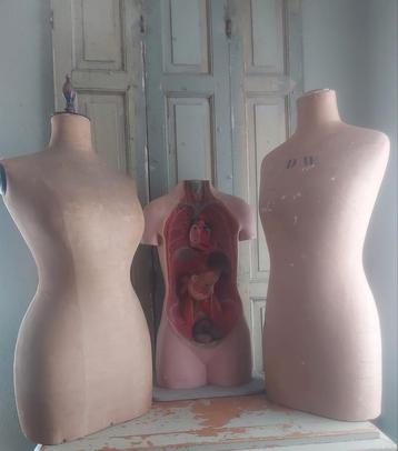 Oude paspop, buste,torso,linnen,reclame,medisch, paspoppen beschikbaar voor biedingen