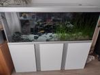 160*60*60 aquarium compleet incl visbestand, Dieren en Toebehoren, Vissen | Aquaria en Toebehoren, Ophalen, Gebruikt, Gevuld zoetwateraquarium