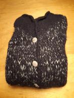 vest  lange mouw, donkerblauw met beetje wit e 75, Kleding | Dames, Truien en Vesten, Maat 38/40 (M), Zo goed als nieuw, Inti