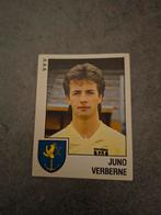 Panini sticker Voetbal 89. Speler Juno Verberne VVV Venlo, Verzenden, Zo goed als nieuw, Sticker