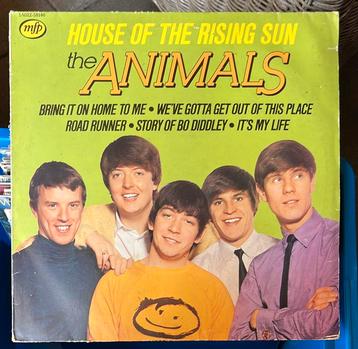 The Animals - House of the Rising Sun. LP beschikbaar voor biedingen