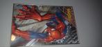 Spiderman poster, Ophalen, Gebruikt, Vierkant, A1 t/m A3