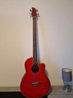 Tanglewood Odyssey Akoestische Elektrische Bas, Ophalen, Gebruikt, Akoestisch