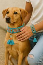 steffie halsband en matching armband voor hond en baasje, Verzenden