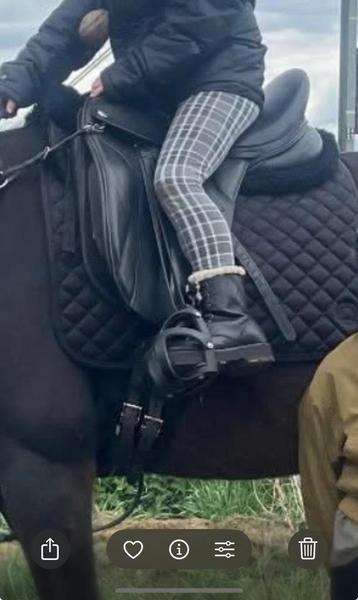 Gezocht/Ruilen Thorowgood T8 Dressage High Wither beschikbaar voor biedingen