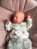 Reborn tibor, moet weg!!, Ophalen of Verzenden, Zo goed als nieuw, Pop, Levensecht of Reborn