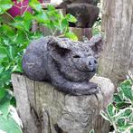 beeld varken, Ophalen of Verzenden