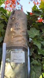 North sails windsurf mast, Watersport en Boten, Windsurfen, Ophalen of Verzenden, Nieuw, Mast