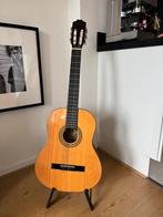 Motion TC-901 klassieke gitaar, Muziek en Instrumenten, Ophalen, Zo goed als nieuw, Klassieke of Spaanse gitaar