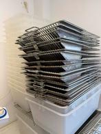 T3 T4 lap bakken, Dieren en Toebehoren, Knaagdieren, Muis, December, Geslacht onbekend, Tam