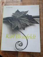 Karl Blossfeldt  photographs of plants planten, Verzenden, Zo goed als nieuw, Fotografen