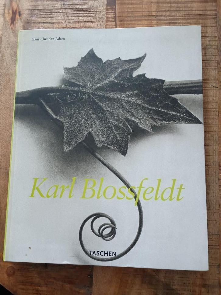 Karl Blossfeldt  photographs of plants planten, Boeken, Kunst en Cultuur | Fotografie en Design, Zo goed als nieuw, Fotografen