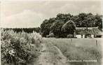 Frederiksoord, Koloniehuisje, Ophalen of Verzenden, Voor 1920, Drenthe