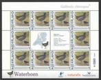 Postzegels Vogels in Nederland: Waterhoen, Ophalen of Verzenden, Na 1940, Postfris