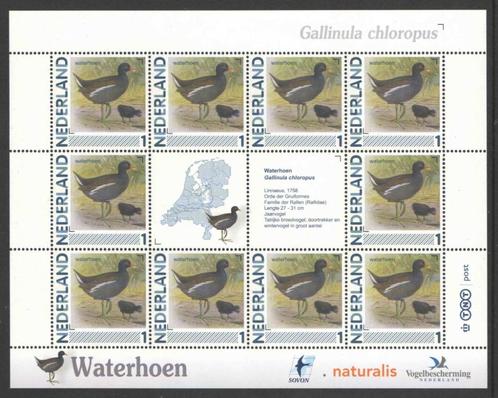 Postzegels Vogels in Nederland: Waterhoen, Postzegels en Munten, Postzegels | Nederland, Postfris, Na 1940, Ophalen of Verzenden