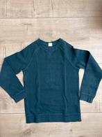 HEMA trui jongen maat 134-140 petrol - Nieuw!, Kinderen en Baby's, Kinderkleding | Maat 140, Ophalen of Verzenden, Nieuw, Jongen