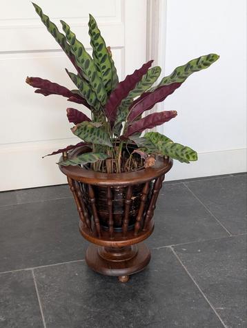 Antiek plantenbak / plant houder. Vintage gedraaid  beschikbaar voor biedingen