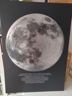 Te koop, mooi nieuw Ikea schilderij., Huis en Inrichting, Woonaccessoires | Schilderijen, Tekeningen en Foto's, Ophalen, 50 tot 75 cm