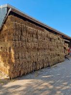 Tarwe stro, Dieren en Toebehoren, Dierenvoeding, Ophalen, Vee