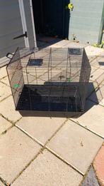 Gratis Hamster / Transport kooi, Dieren en Toebehoren, Kooi, Gebruikt, Minder dan 75 cm, Hamster
