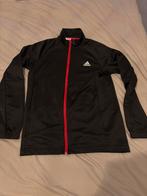 Adidas Trainingspak 15-16 jaar - Zo goed als nieuw!, Maat XS of kleiner, Ophalen of Verzenden, Zo goed als nieuw, Trainingspak