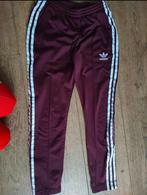 Adidas trainingsbroek Maroon / bordeaux paars 34/36, Kleding | Dames, Ophalen of Verzenden, Zo goed als nieuw, Maat 36 (S), Paars