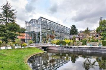 Hortus Botanicus in Leiden. beschikbaar voor biedingen