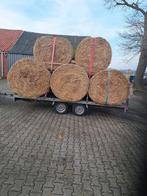 Hooi hooibalen ronde balen, Dieren en Toebehoren, Ophalen of Verzenden, Vee