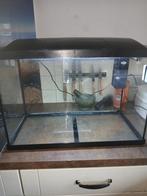 Aquarium 65 liter, Ophalen, Zo goed als nieuw, Leeg aquarium