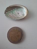 Abalone Schelp - Decoratief, Ophalen, Gebruikt