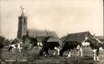 Dirksland Zuidzijde met koeien st 1942