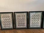 Set van 5 Ingelijste Generaal Afbeeldingen, Antiek en Kunst, Kunst | Etsen en Gravures, Ophalen of Verzenden