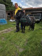 Mentuig kieffer, Ophalen of Verzenden, Overige soorten