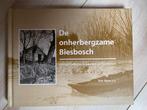 De onherbergzame Biesbosch. Ruud Haan, Boeken, Ophalen of Verzenden, Gelezen