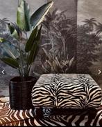 Zebra hocker, Ophalen, Vierkant, 75 tot 100 cm, Zo goed als nieuw