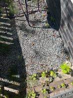basalt split 8-11 mm gratis af te halen, Ophalen, Antraciet, Zo goed als nieuw, Split