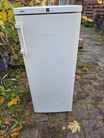 Koelkast liebehrr beschikbaar voor biedingen