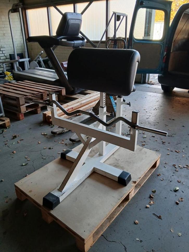 Panatta Biceps Curl Bank incl. Ez stang, Sport en Fitness, Fitnessmaterialen, Gebruikt, Overige typen, Armen, Ophalen